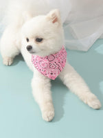 Load image into Gallery viewer, Classic Paisley Adjustable Collar Bandana