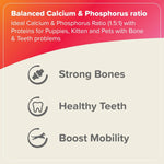 Load image into Gallery viewer, Beaphar Bone Builder for Dogs & Cats – 400gm | Strong Bones & Healthy Joints Supplement