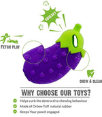Load image into Gallery viewer, Holy Paws Veggie Bites Eggplant Squeaky Dog Toy – Durable Orbee-Tuff Rubber Chew for Small & Medium Breeds