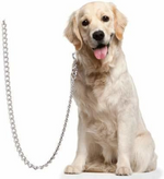 Load image into Gallery viewer, Premium Heavy-Duty Iron Dog Chain Leash with T-Bar & Swivel Snap Hook