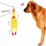 Load image into Gallery viewer, Sq. VT. 118 Noisy Chicken Large