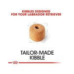 Load image into Gallery viewer, Royal Canin Labrador Retriver Adult