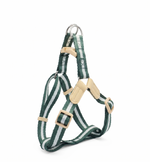 Load image into Gallery viewer, Nunbell Reflective Step-In Dog Harness – Nylon & Leather Accents