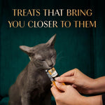 Load image into Gallery viewer, Sheba Maguro Selection Tuna Flavour and Tuna Prawn Flavours 48gm