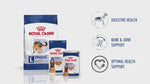 Load image into Gallery viewer, Royal Canin Maxi Adult
