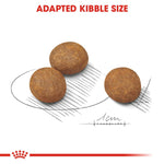 Load image into Gallery viewer, Royal Canin Maxi Puppy