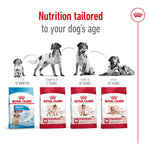 Load image into Gallery viewer, Royal Canin Medium Adult