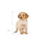 Load image into Gallery viewer, Royal Canin Medium Puppy