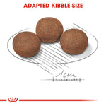 Load image into Gallery viewer, Royal Canin Medium Puppy