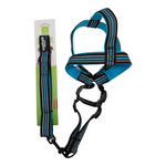 Load image into Gallery viewer, Nunbell Reflective Padded Dog Leash & Harness Set