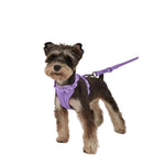 Load image into Gallery viewer, Holy Paws No-Pull Dog Harness – Adjustable, Breathable Mesh Comfort Vest