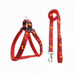 Load image into Gallery viewer, Leash & Harness-Nylon Print Padded for Dogs (Color May Vary)