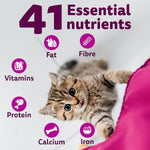 Load image into Gallery viewer, Whiskas Kitten Dry Cat Food - Ocean Fish Flavour