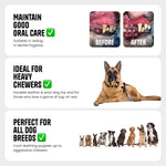 Load image into Gallery viewer, Oye Bark "Billy Buffalo" Durable Leather Dog Toy