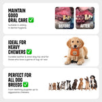 Load image into Gallery viewer, Oye Bark Eco-Friendly Leather Orange Rabbit Dog Toy