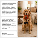 Load image into Gallery viewer, Oye Bark Eco-Friendly Leather Orange Rabbit Dog Toy