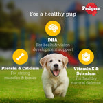 Load image into Gallery viewer, Pedigree Puppy Chicken & Liver Gravy 130gm