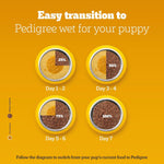 Load image into Gallery viewer, Pedigree Puppy Gravy Chicken Chunks in Gravy