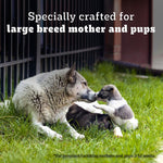 Load image into Gallery viewer, Pedigree Pro Mother & Pup Starter