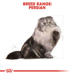 Load image into Gallery viewer, Royal Canin Persian Adult