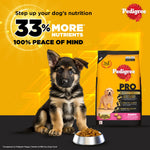 Load image into Gallery viewer, Pedigree PRO Expert Nutrition for Large Breed Puppy (3 to 18 Months) Dog Dry Food - 3Kg