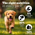 Load image into Gallery viewer, Pedigree Puppy Large Breed