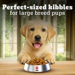 Load image into Gallery viewer, Pedigree Puppy Large Breed