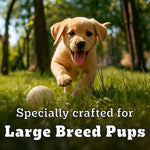 Load image into Gallery viewer, Pedigree Puppy Large Breed