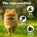 Load image into Gallery viewer, Pedigree PRO Expert Nutrition Small Breed Puppy (2 to 9 Months) Dry Food - 3Kg