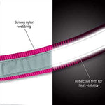 Load image into Gallery viewer, High-Visibility Reflective Dog Collar and Leash Set | Heavy-Duty Nylon