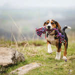 Load image into Gallery viewer, SmartyPet Durable Cotton 2-Knot Dog Rope Toy(Color May Vary)