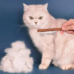 Load image into Gallery viewer, Smarty Pet Bamboo Flea Comb for Dogs & Cats