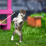 Load image into Gallery viewer, SmartyPet Skeleton Cat Teaser Wand Toy with Bell – Natural Wooden Stick (40cm)