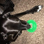 Load image into Gallery viewer, Spike Ring Toy