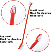 Tooth Brush Single
