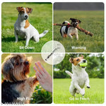 Load image into Gallery viewer, Training Whistle for Dogs