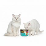 Load image into Gallery viewer, Bellotta Tuna in Gravy Wet Cat Food – 185g Premium Can