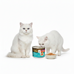 Load image into Gallery viewer, Bellotta Tuna in Gravy Wet Cat Food – 185g Premium Can