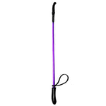 Load image into Gallery viewer, Dog Walking Stick Premium