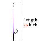 Load image into Gallery viewer, Dog Walking Stick Premium