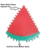 Load image into Gallery viewer, Holy Paws Fruity Bite Watermelon | Durable Rubber Dog Chew & Teether
