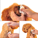 Load image into Gallery viewer, Smartypet Wet Tissue - 100 Sheets