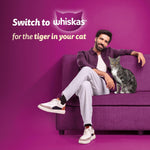 Load image into Gallery viewer, Whiskas Ocean Fish Adult Cat Food