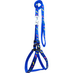 Load image into Gallery viewer, Leash &amp; Harness-Nylon Print Padded for Dogs (Color May Vary)