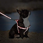 Load image into Gallery viewer, 10mm Leash &amp; Harness for Pets Reflecting