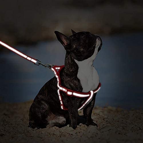 10mm Leash & Harness for Pets Reflecting