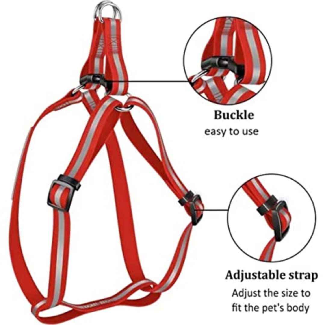 10mm Leash & Harness for Pets Reflecting