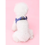 Load image into Gallery viewer, 10mm Leash &amp; Harness for Pets Reflecting