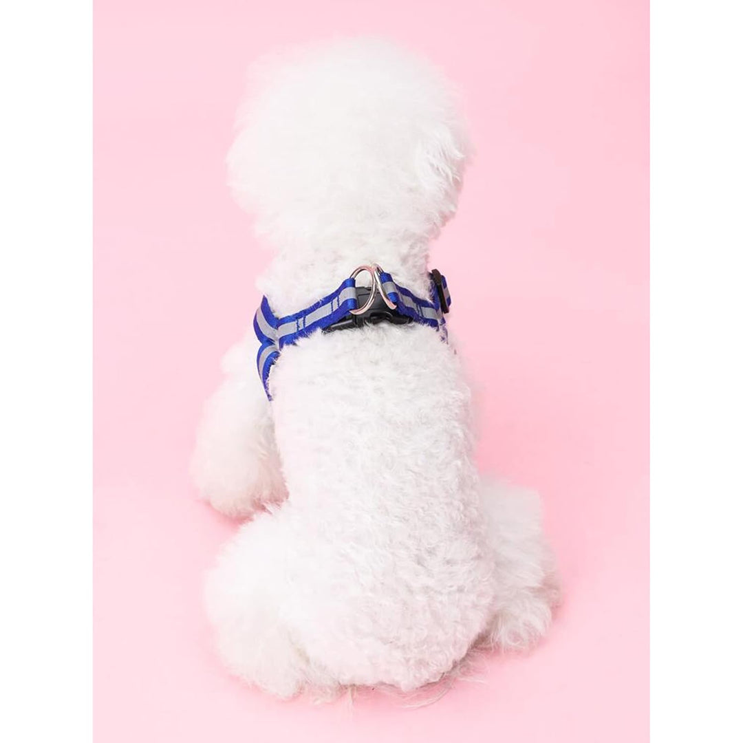10mm Leash & Harness for Pets Reflecting