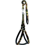 Load image into Gallery viewer, Poly Print Padded Leash &amp; Harness Set for Dogs